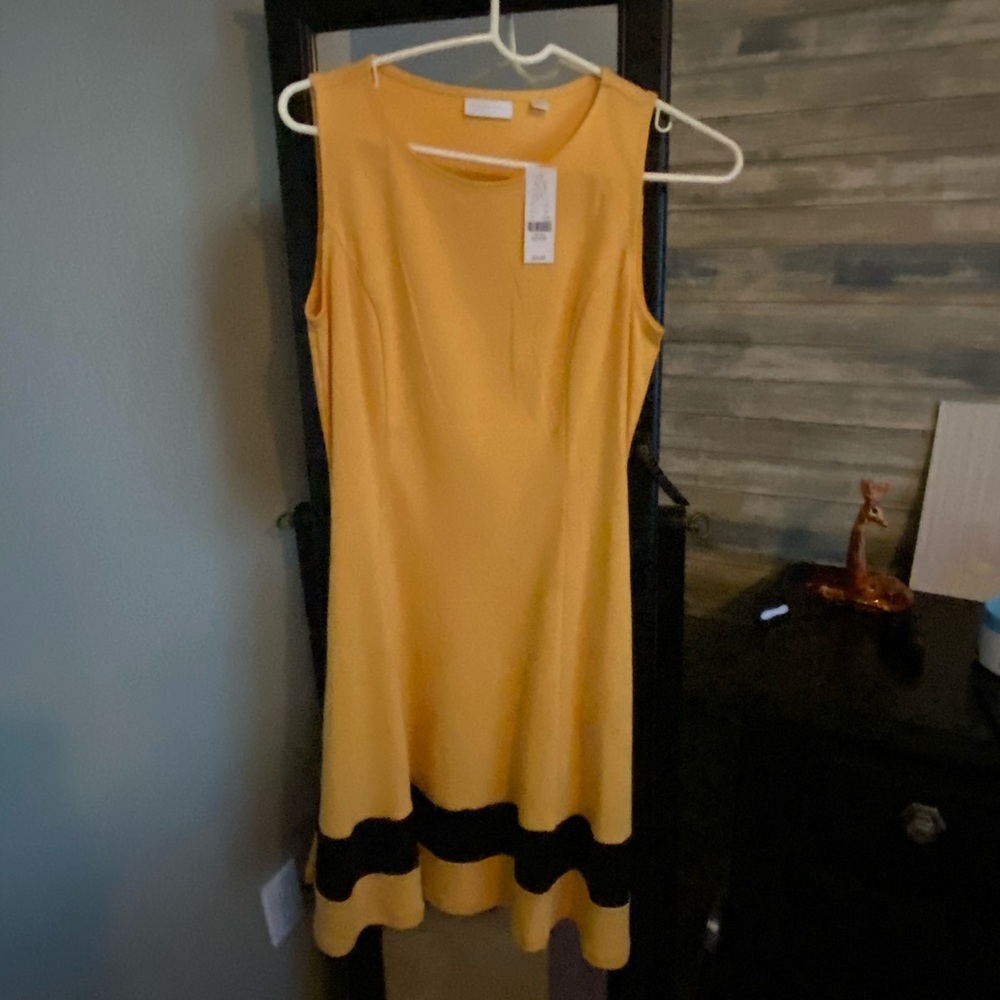 New York & Company Dress